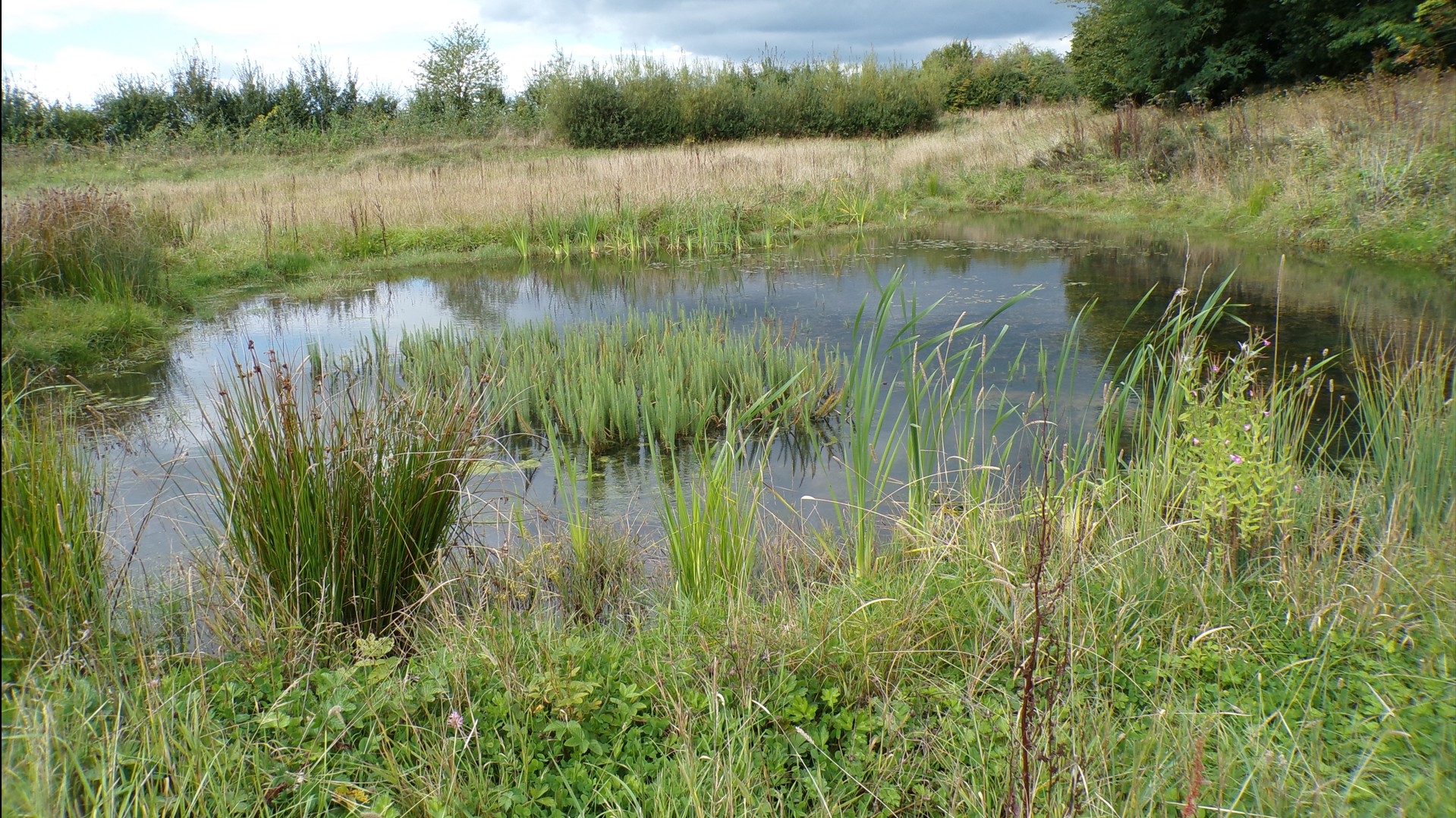 Maison du Bocage à Sains du Nord, bâtisse