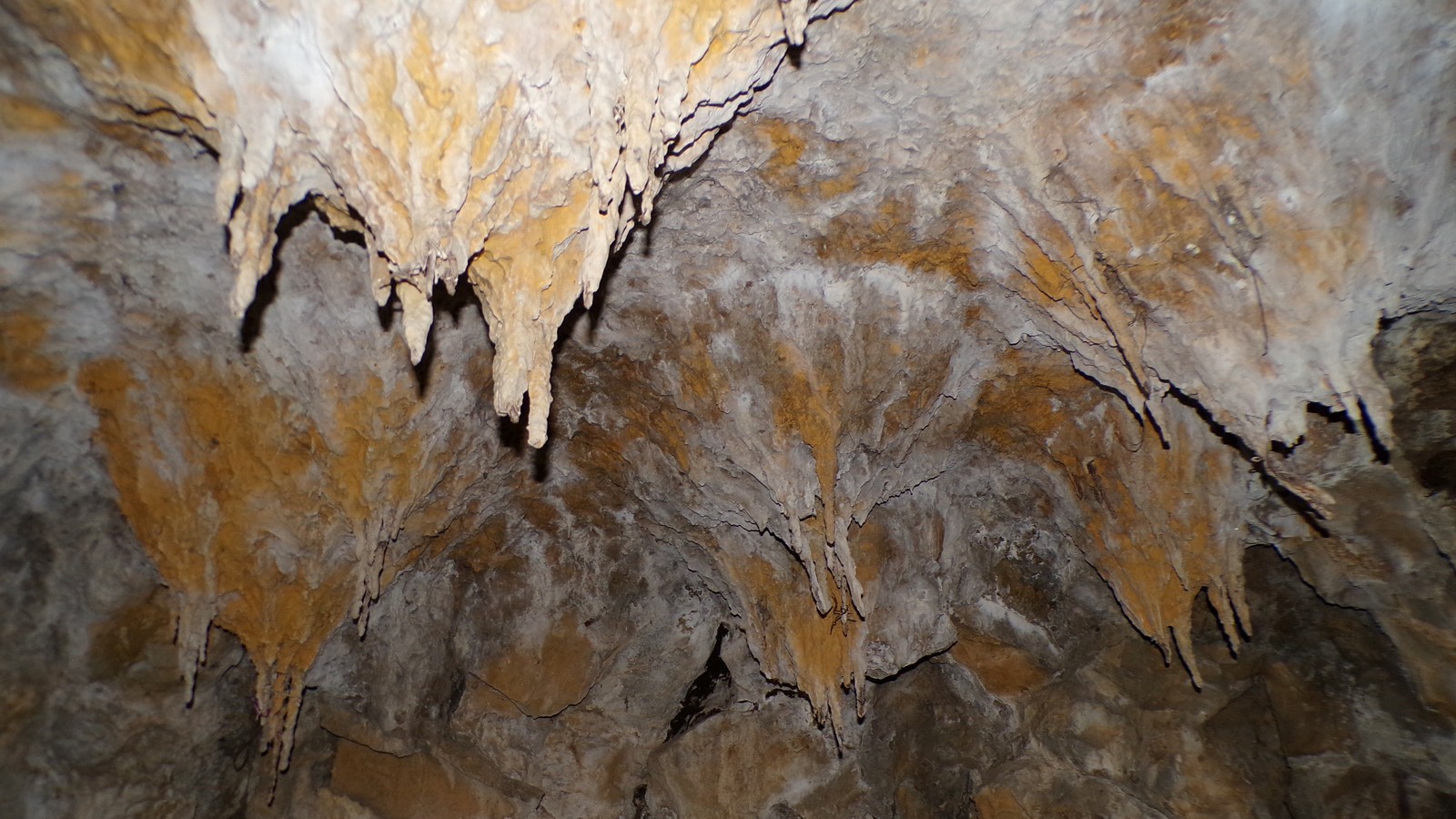Maison du Bocage à Sains du Nord, la grotte