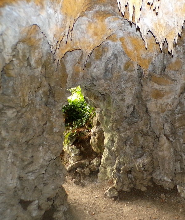 Maison du Bocage à Sains du Nord, la grotte