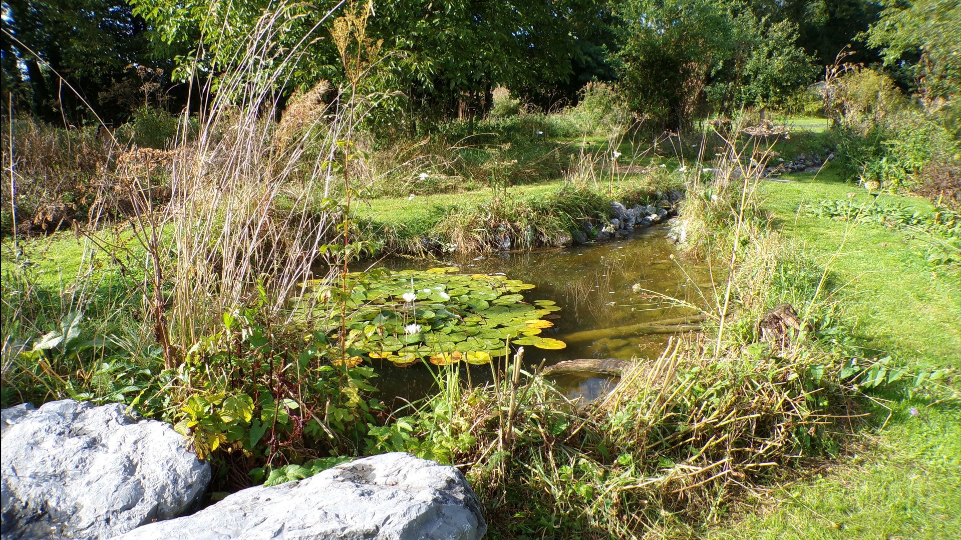 Maison du Bocage à Sains du Nord, bassin d'eau, mare