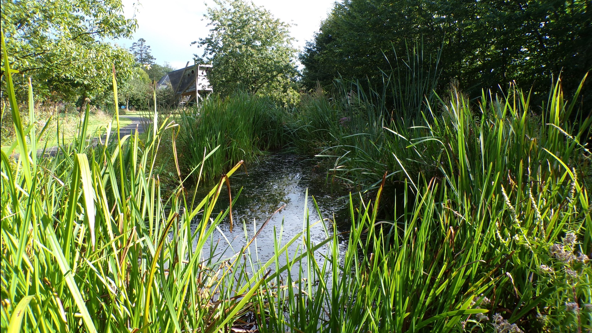 Maison du Bocage à Sains du Nord, bassin d'eau, mar
