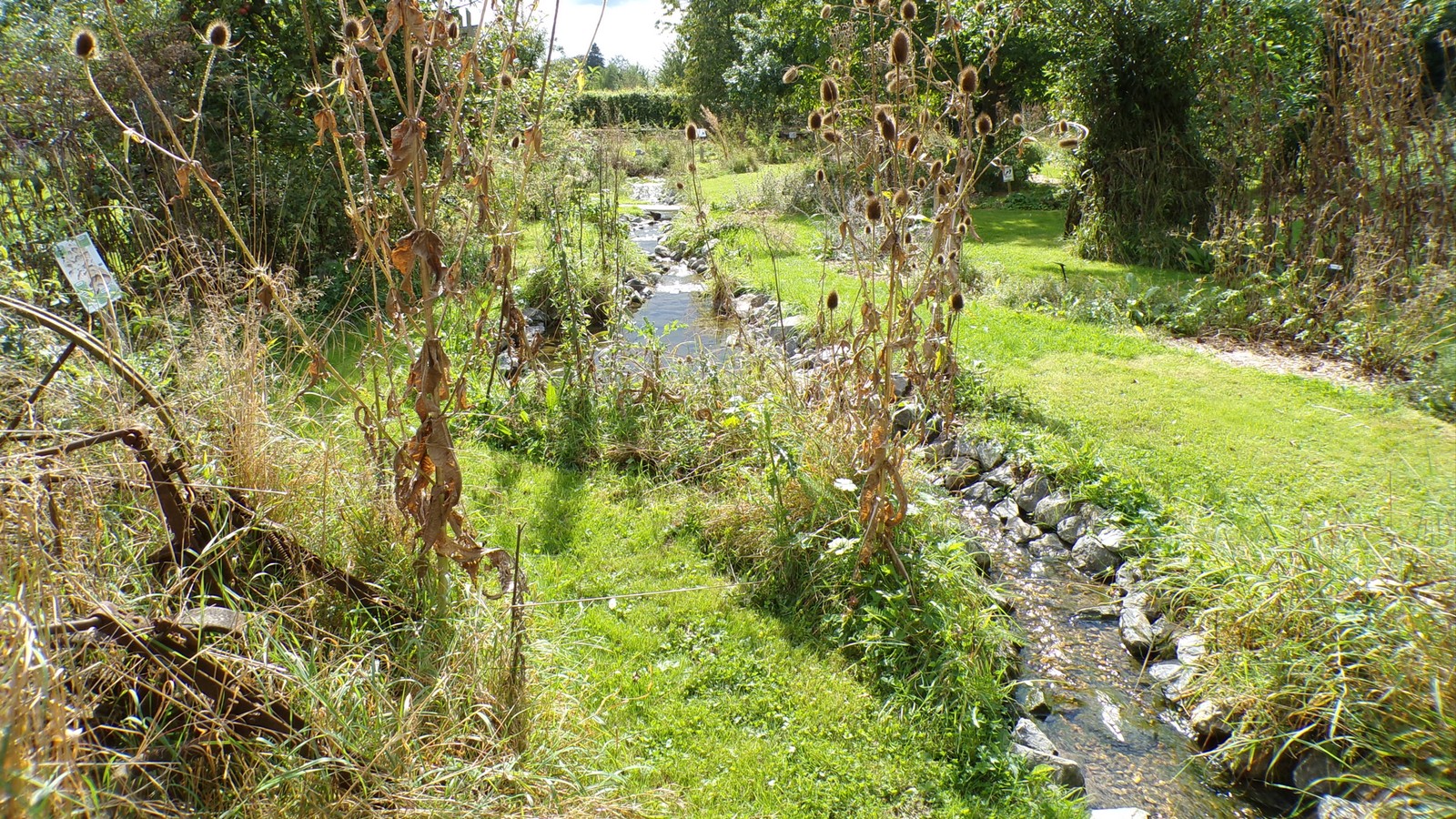 Maison du Bocage à Sains du Nord, ruisseau