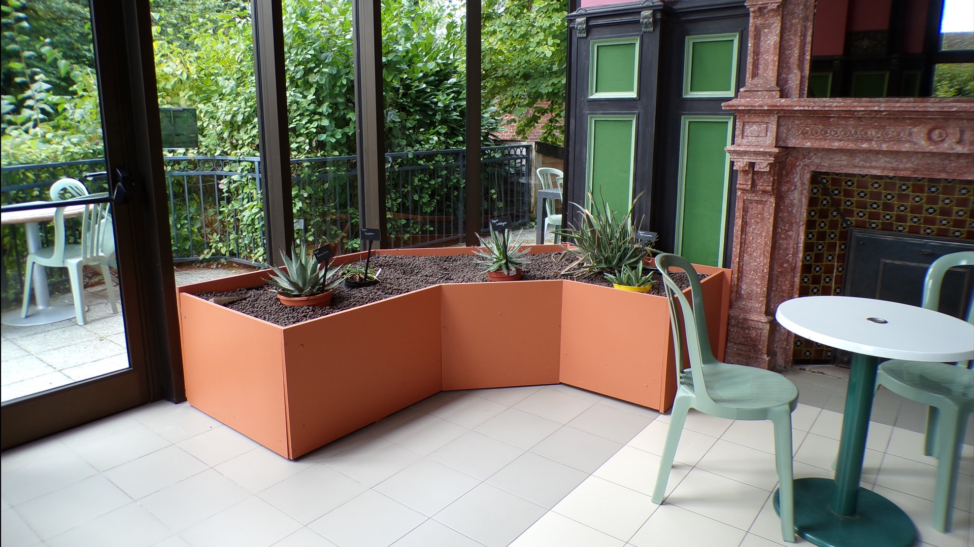 Maison du Bocage à Sains du Nord, serre, cactus