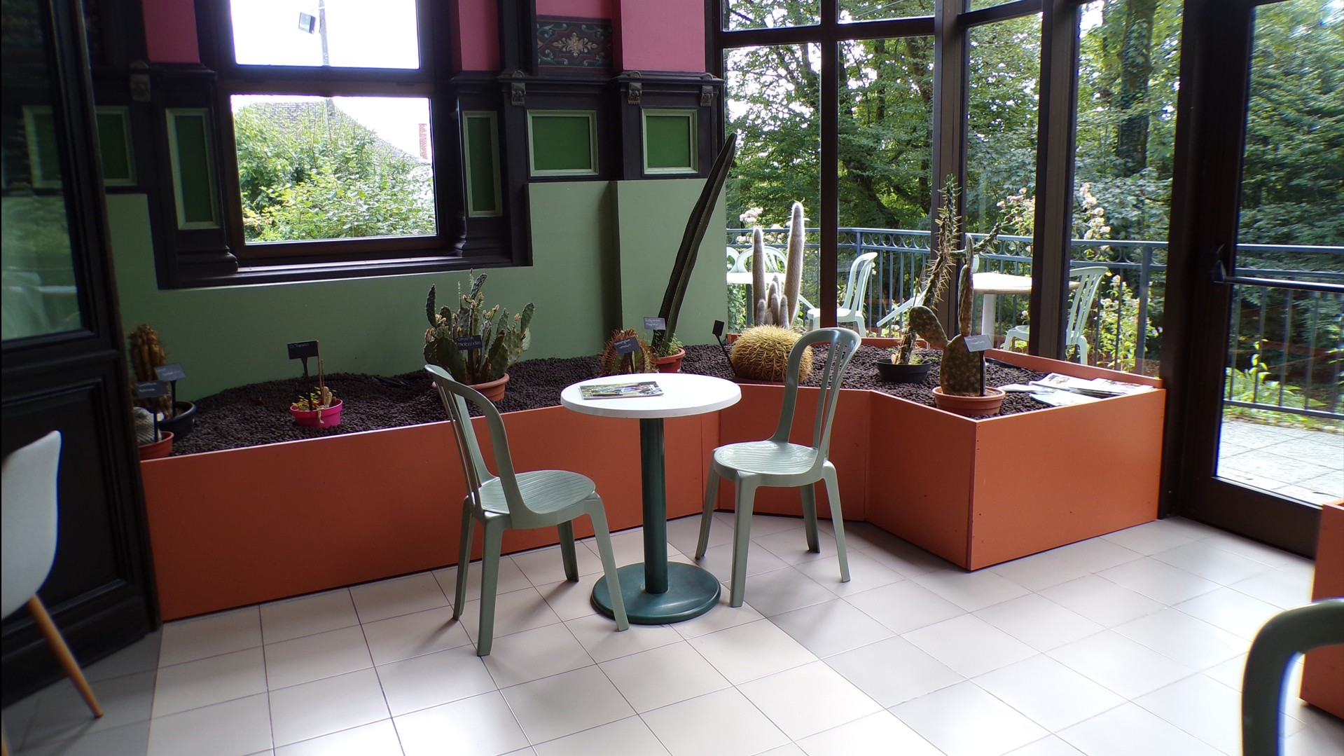 Maison du Bocage à Sains du Nord, serre, cactus