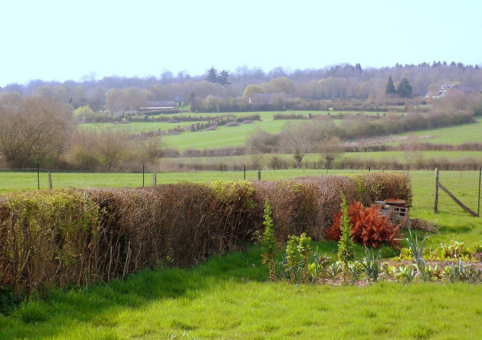 Le bocage à Ohain