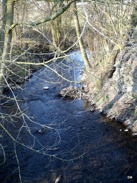 Ruisseau d'Orsinval