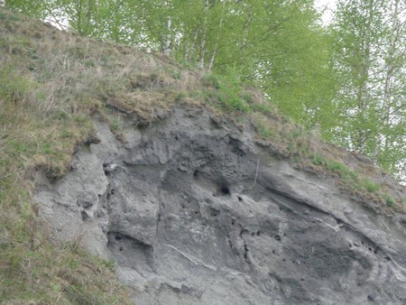 La réserve naturelle de Pantegnies à Pont sur Sambre
