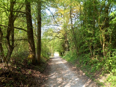 La réserve naturelle de Pantegnies à Pont sur Sambre.