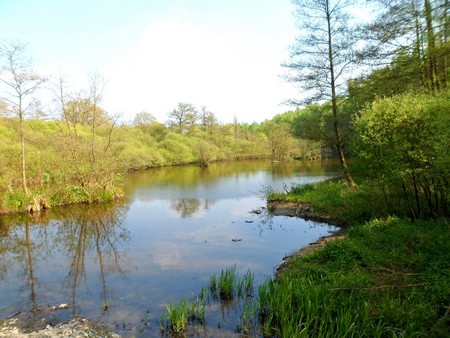 La réserve naturelle de Pantegnies à Pont sur Sambre.