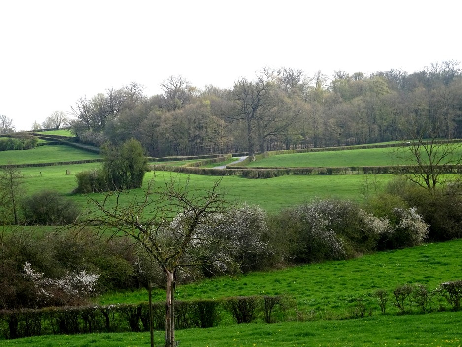 Début de printemps à Rainsars.