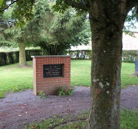 Arbre de la Liberté à Raucourt au Bois.