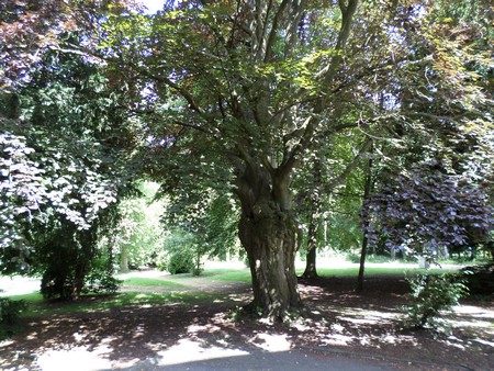 Mairie de Recquignies, le parc