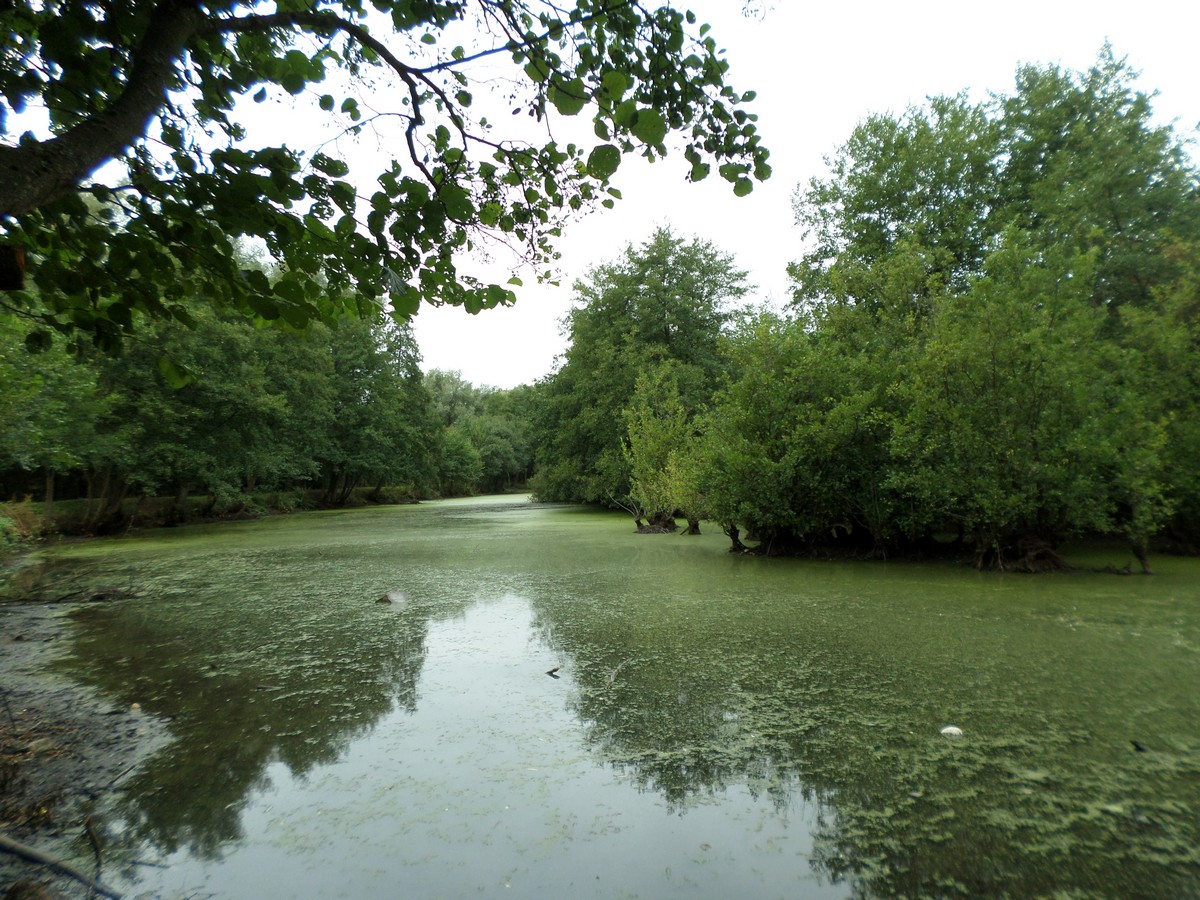 La halte nautique de Leval, le bras mort.