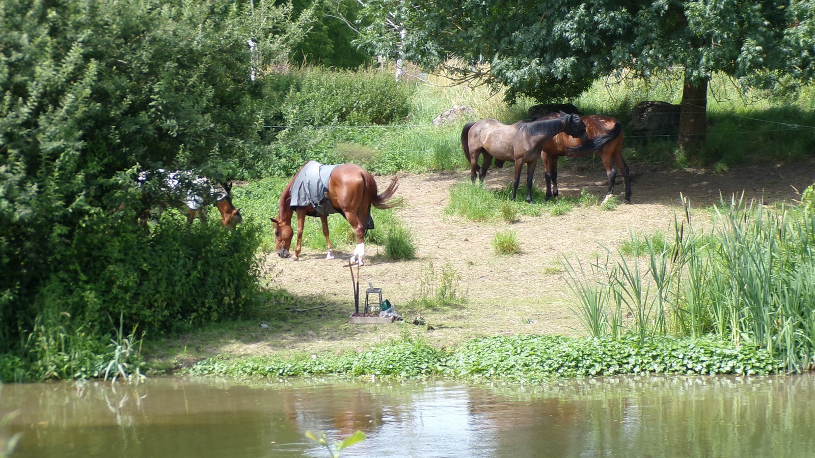 Berges de la Sambre à Aymeries.