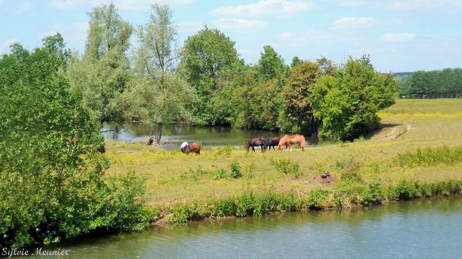 La quiétude des bords de Sambre.