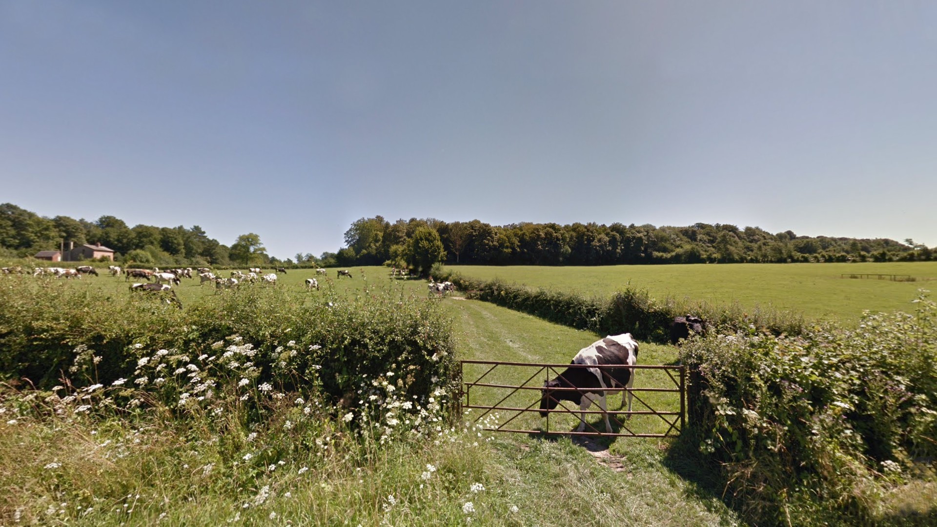 La campagne environnante à Sains du Nord.