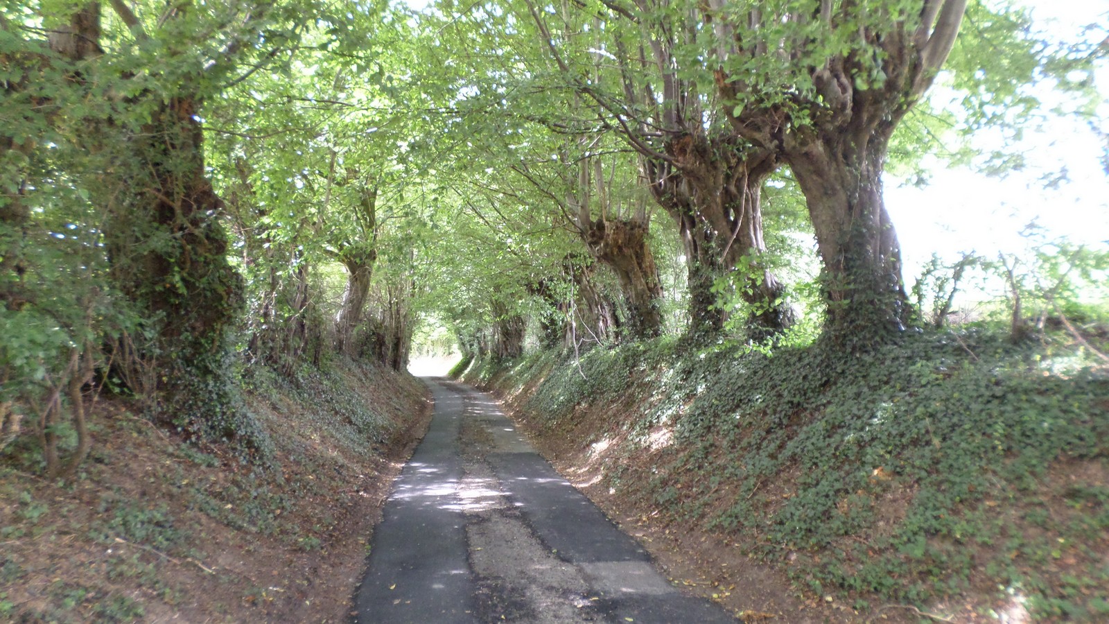 La ruelle Comtesse à  Saint Aubin