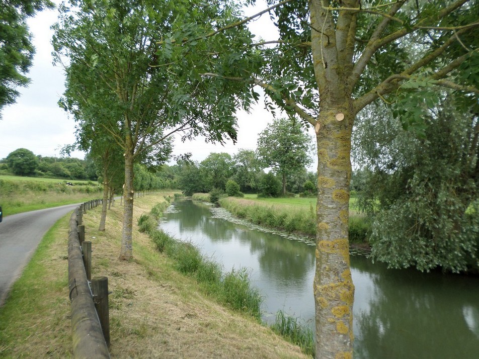 L'Helpe Majeure à  St Hilaire sur Helpe