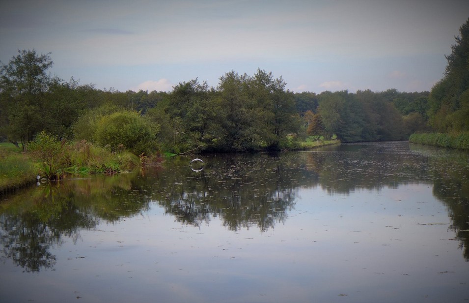 La Sambre à Sassegnies