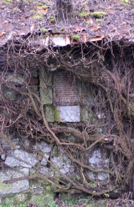 Oratoire à Sassegnies.