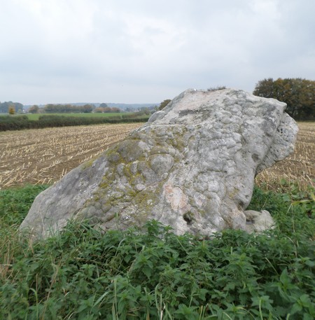 Pierres Martines  à  Solre le Château