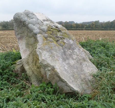 Pierres Martines  à  Solre le Château