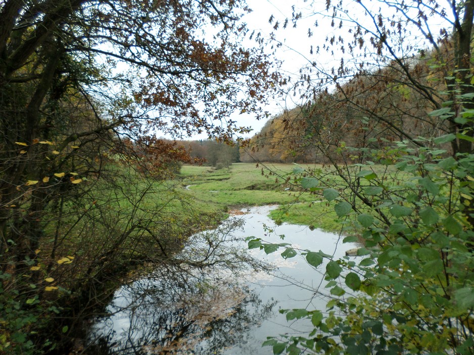 Le ruisseau de l'Ecrevisse à la limite de Solre le Château et d'Eccles. 