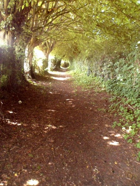 Vieux Mesnil, ruelle