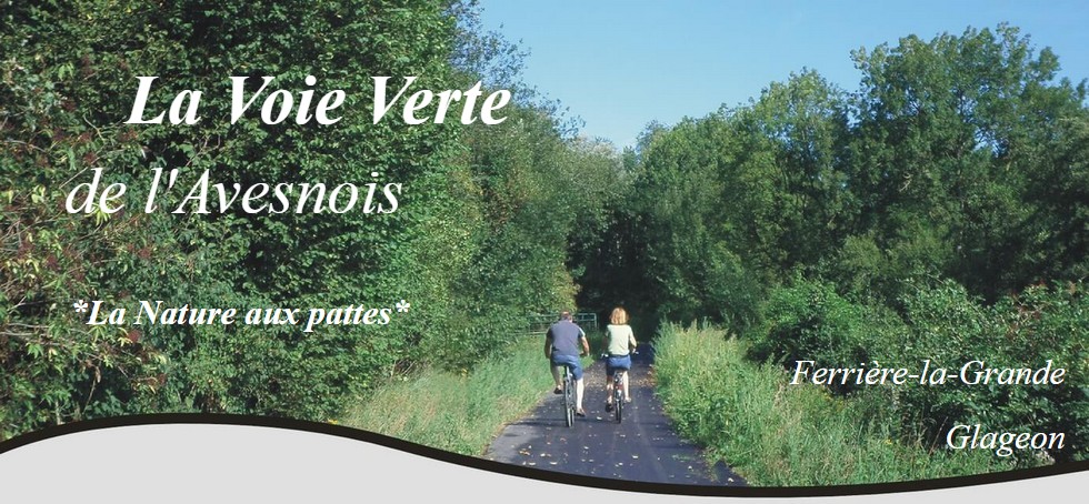 Voie Verte de l'Avesnois : randonnée, vélo, nature découverte du bocage.