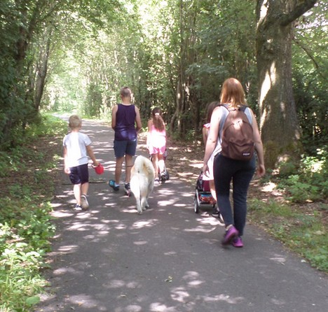 Voie Verte de l'Avesnois : promenade en falille