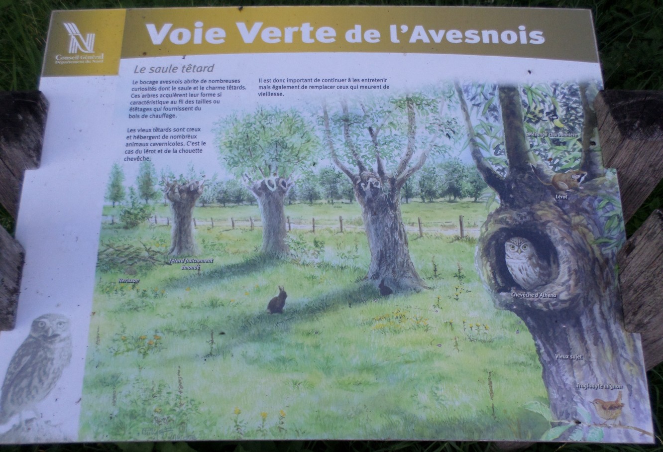 Voie Verte de l'Avesnois : panneaux infos