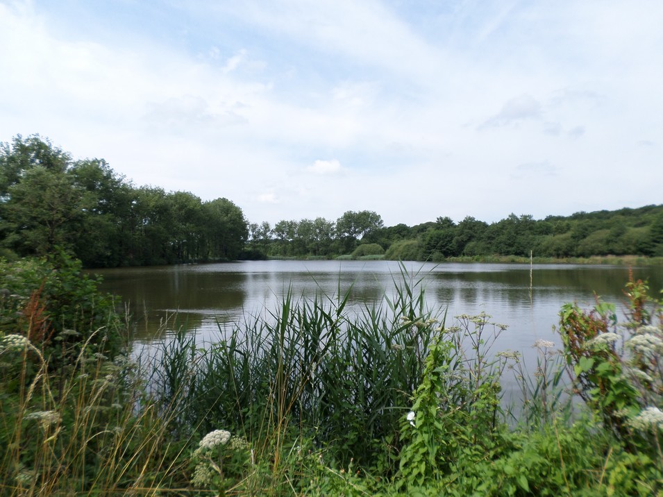 Etang à Wallers en Fagne